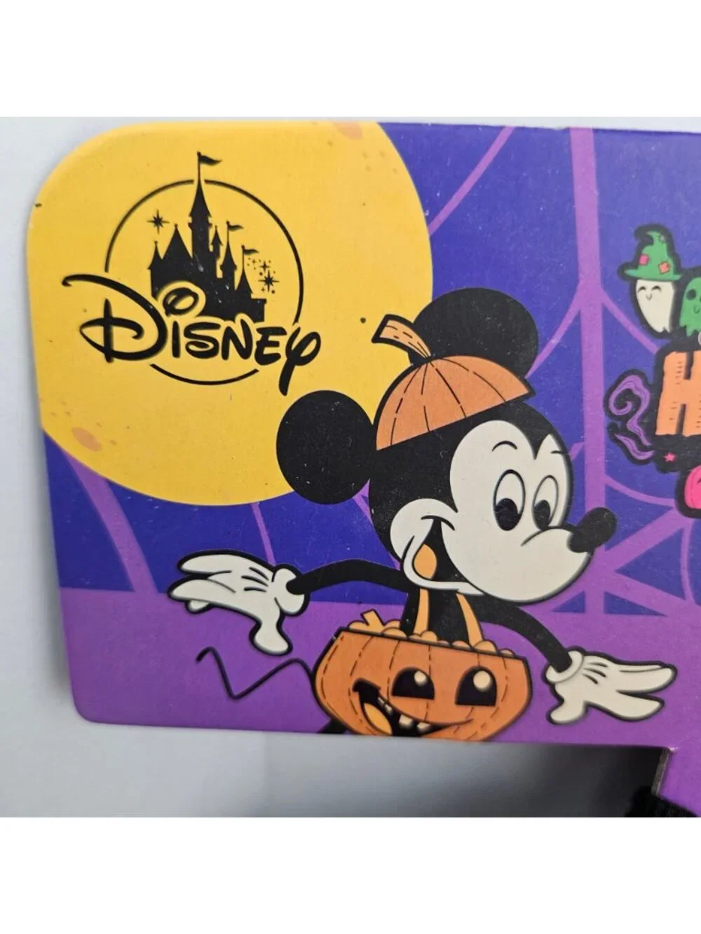 Disney pet spirit